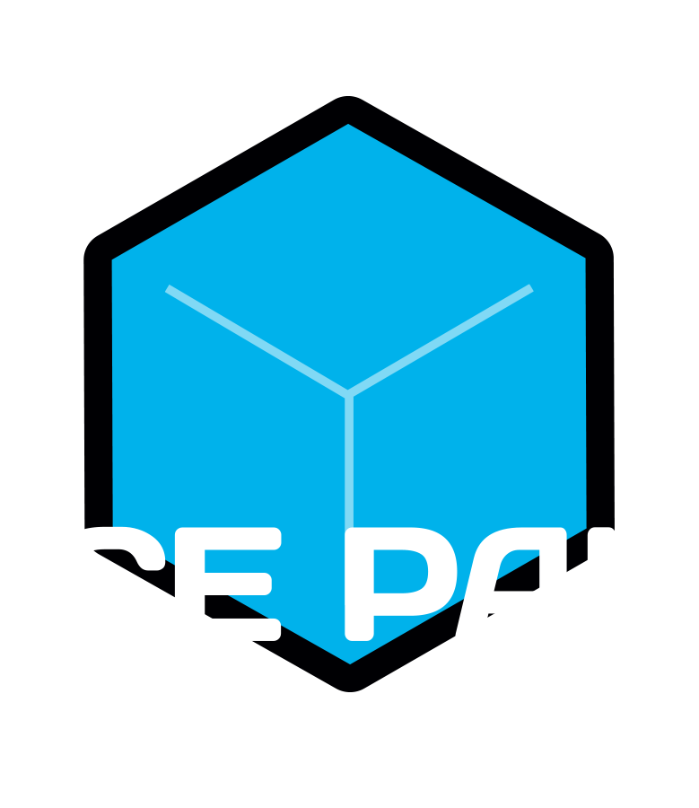Ice pak